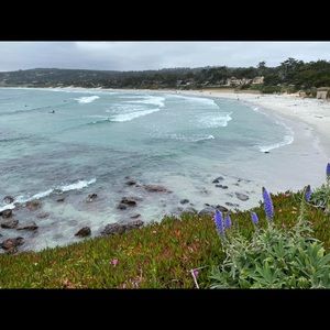 Meet your Posher, Catherine